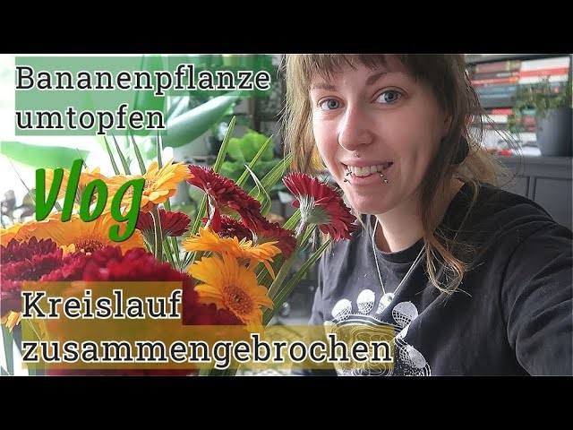 Umgekippt | Bananenpflanze Pflege | Deko Haul | VLOG244