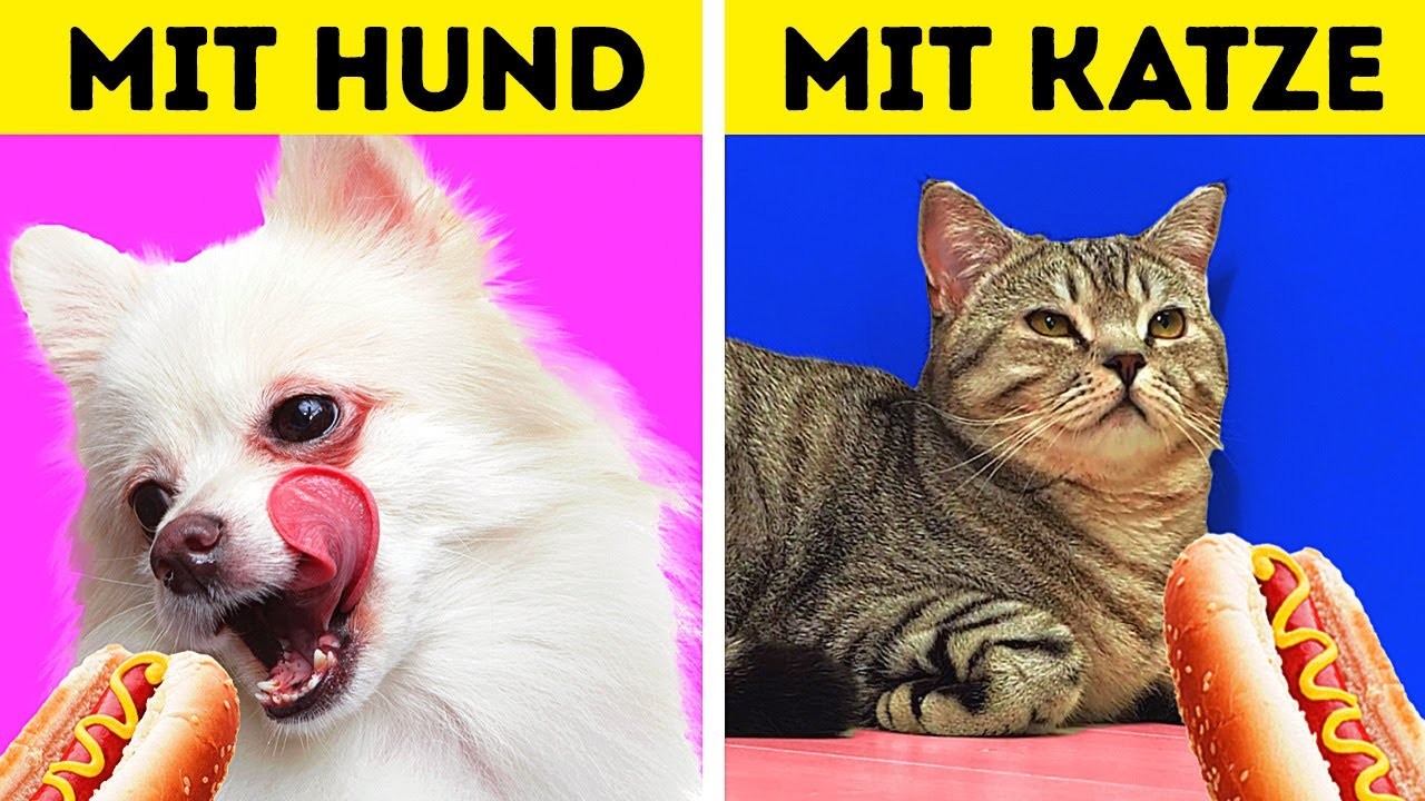 LEBEN MIT HUND VS. LEBEN MIT KATZE || 30 TRICKS