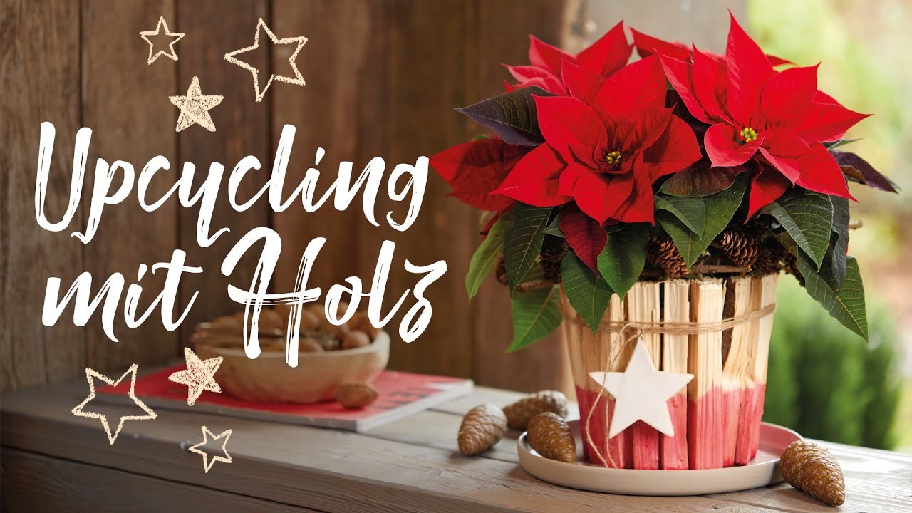DIY Last-Minute Weihnachtsgeschenk mit Weihnachtsstern: Upcycling mit Holz