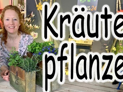 Holzkiste mit Kräutern bepflanzen | Kräuter pflanzen auf dem Balkon | DIY Sommerdeko | Floristik24