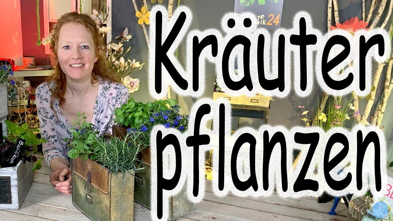 Holzkiste mit Kräutern bepflanzen | Kräuter pflanzen auf dem Balkon | DIY Sommerdeko | Floristik24