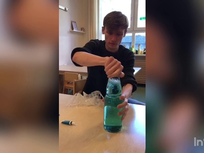 Wir basteln ein Aquarium mit einer Qualle. Gemeinsam basteln