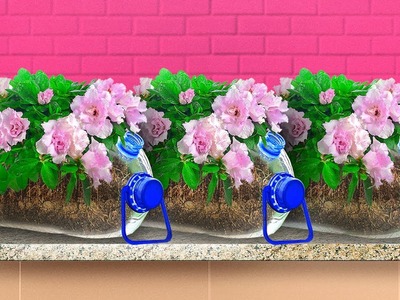 29 GRÜNE PFLANZEN-HACKS