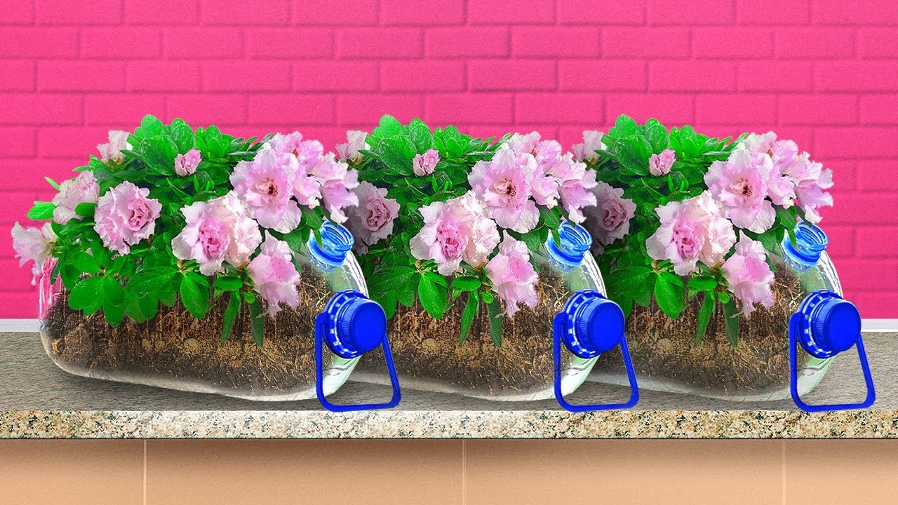 29 GRÜNE PFLANZEN-HACKS