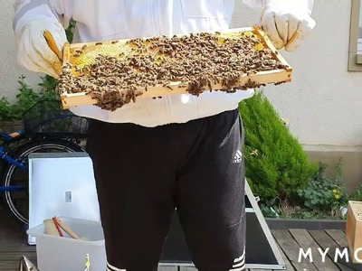 Bienen und Garten TV , Teil 44