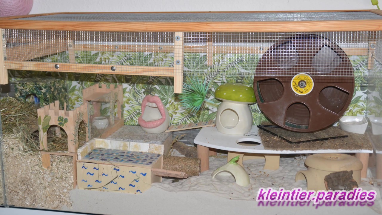 DIY-Video Gehegedeckel erhöhen | Artgerecht für Hamster & Rennmäuse