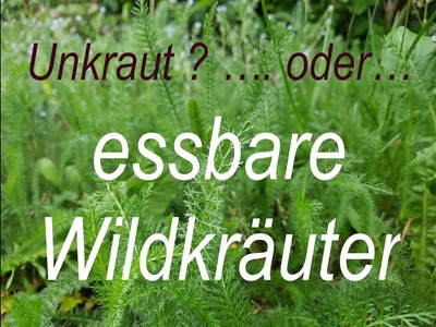 Wildkräutersalat