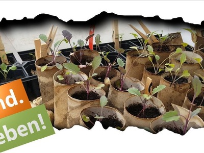 ???? 0,99€ Gewächshaus! ???? Glückliche Kaninchen durch DIY Treibhaus