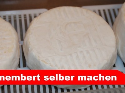 ???? Camembert selber machen ???? einfacher Weißschimmelkäse - Käse selber machen - Alles Käse