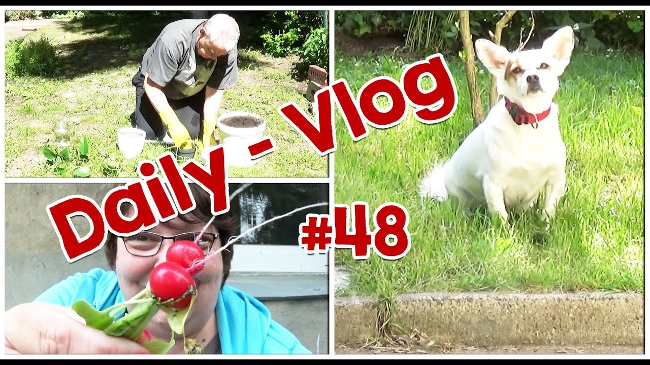 ???? Daily Vlog #48 | Garten | Efeututen einpflanzen | Open Air Knitting | #kirauwesusi | ????