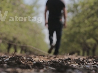 Vatertag: Was wünschst du ihm?