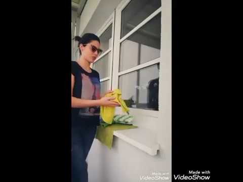 Fenster Elsigan