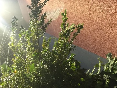 Garten fertig + Gewinnspiel 3.3