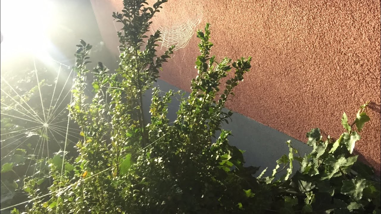 Garten fertig + Gewinnspiel 3.3