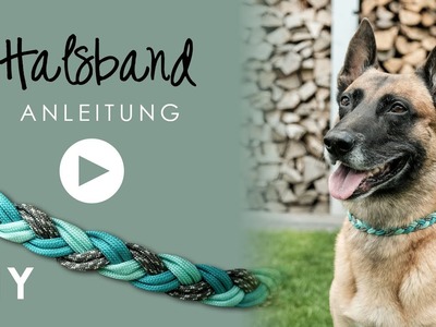 Halsband Hund DIY | Anleitung zum Selbermachen | einfaches | Paracord