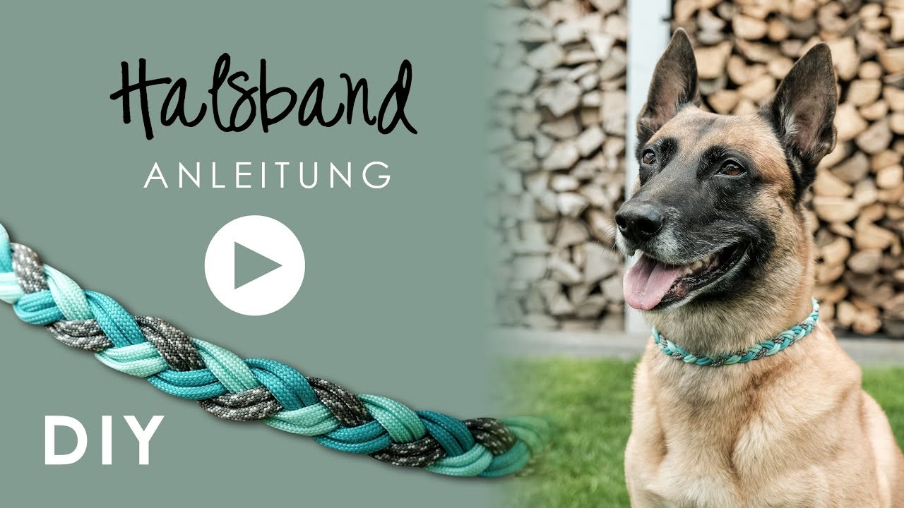 Halsband Hund DIY | Anleitung zum Selbermachen | einfaches | Paracord