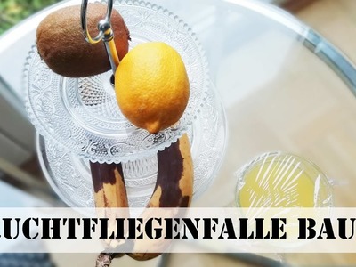 Fruchtfliegenfalle basteln