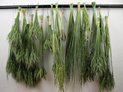 Getrocknete Gräser, Naturmaterialien dekorieren, nachhaltiger Blumentrend in der Floristik, DIY Deko