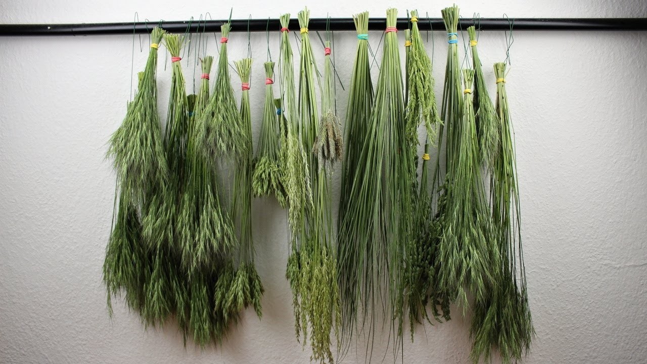 Getrocknete Gräser, Naturmaterialien dekorieren, nachhaltiger Blumentrend in der Floristik, DIY Deko