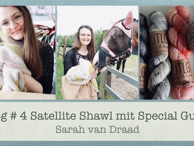 Vlog # 4 Satellite Shawl mit Special Guests
