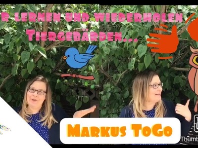 Wir lernen und wiederholen Tiergebärden. 