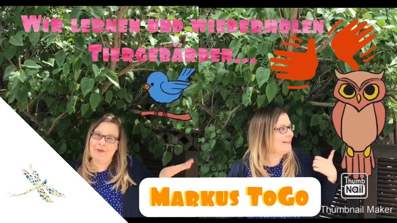 Wir lernen und wiederholen Tiergebärden. 