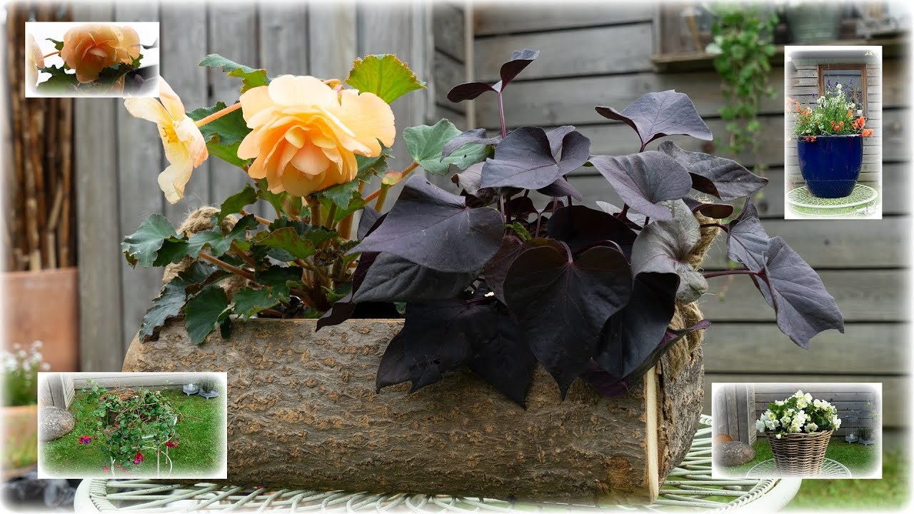 Bepflanzen von Pflanzschale und Kasten für Balkon|Fensterbank|Terrasse | Blumen und Dekoration