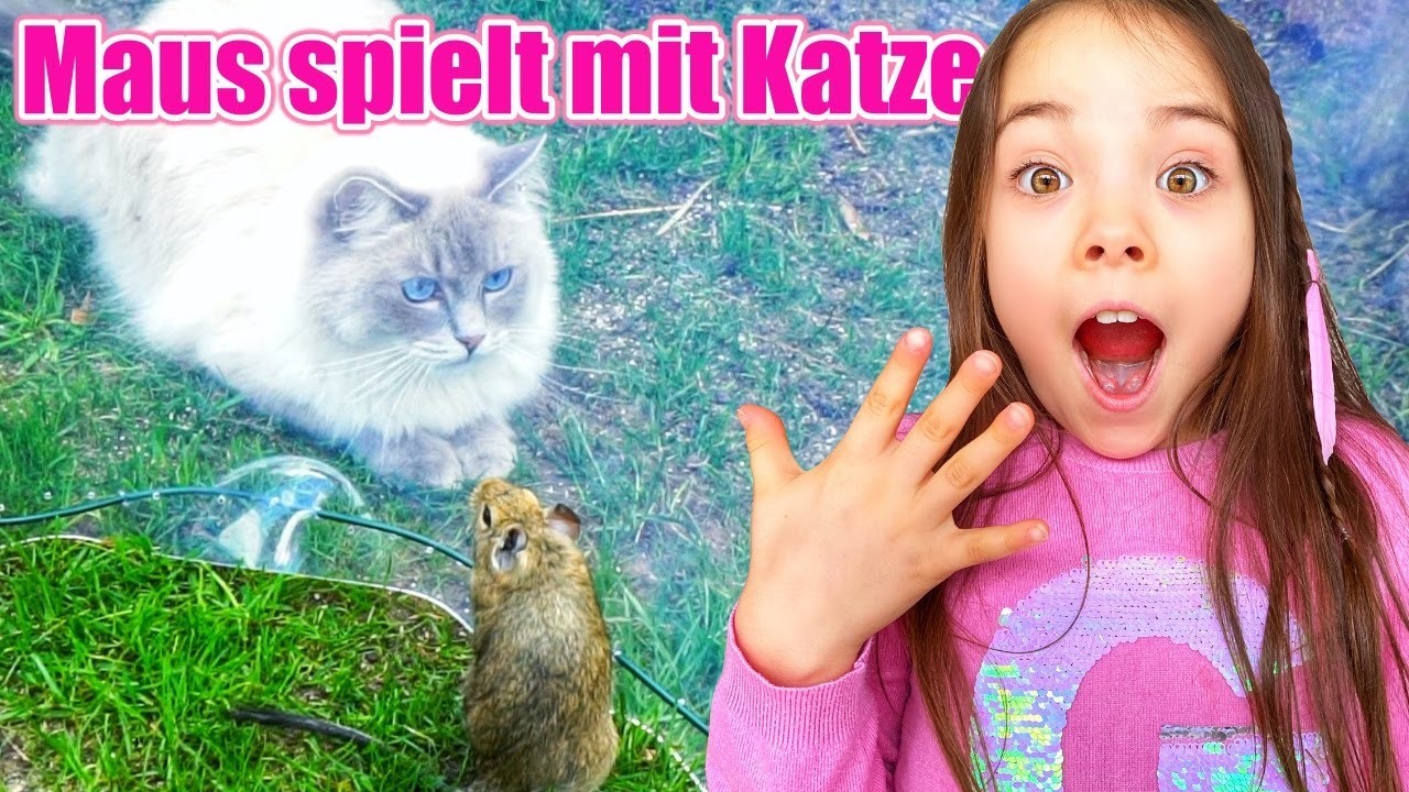 Cat VS Mouse | MAUS spielt mit KATZE | Degus Handzahm | Draussen spielen | Clarielle