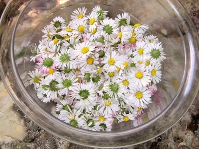 DIY: Besonders & lecker GÄNSEBLÜMCHEN Gelee EINFACH selber machen :))