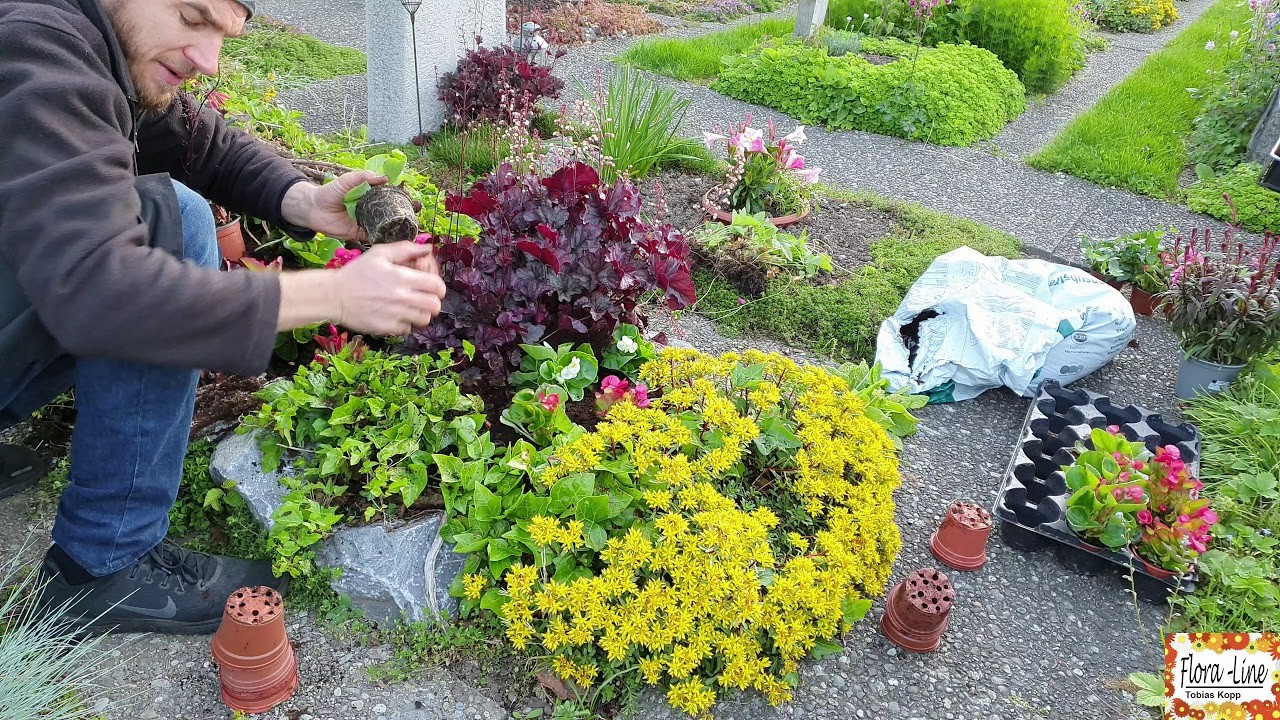 Grabpflege Sommer Tipps und Tricks Dommerdekoration Grab mit Pflanzen Gärter Informationen