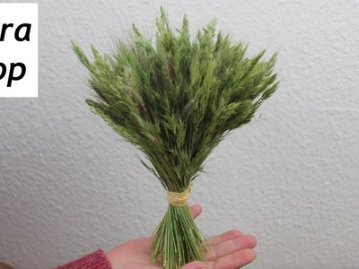 Trockenblumenstrauß aus Gräser selber binden für eine schöne Naturmaterialien Deko ❁ Flora-Shop