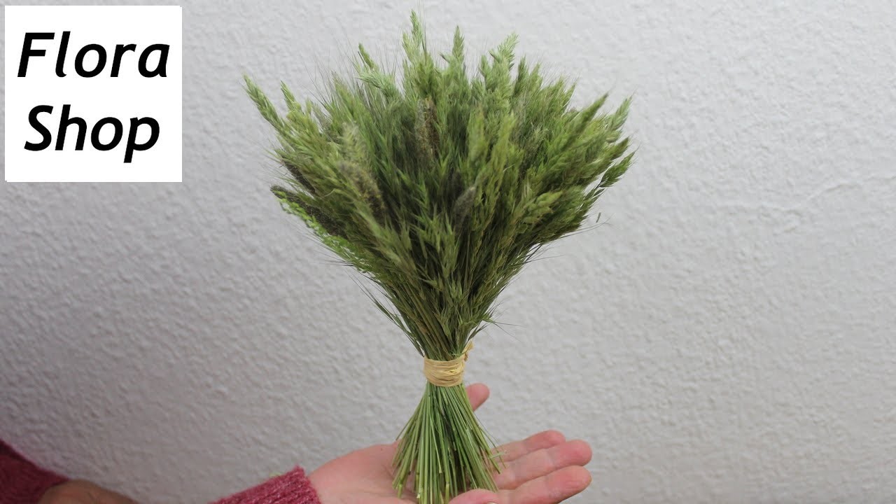 Trockenblumenstrauß aus Gräser selber binden für eine schöne Naturmaterialien Deko ❁ Flora-Shop
