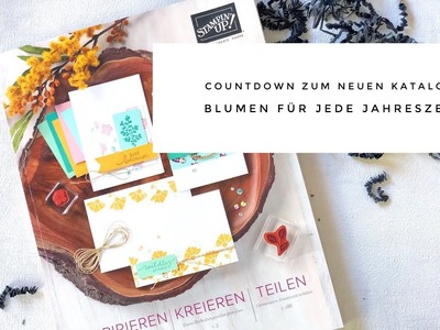 ????  Verpackung Blumen für jede Jahreszeit I DIY I Stampin' Up!