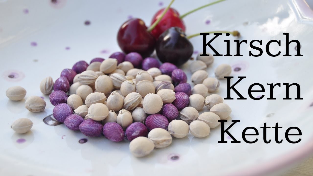 Eine Kette aus Kirschkernen selber machen
