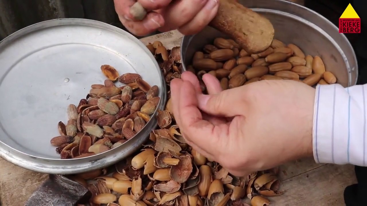 Gelebte Geschichte 1945 - Eichelkaffee.