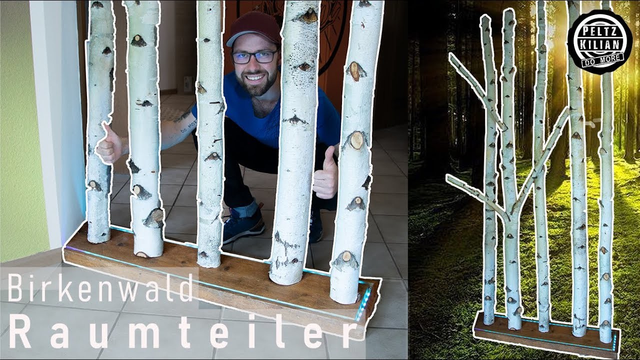 Raumtrenner, Raumtrennwand, Trennwand aus Birken selber bauen | DIY | Upcyling