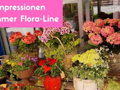 Rundgang Sommer 2020 - Aussenbereich-Sommerfloristik by Blumenmann - Flora-Line, Grosshöchstetten