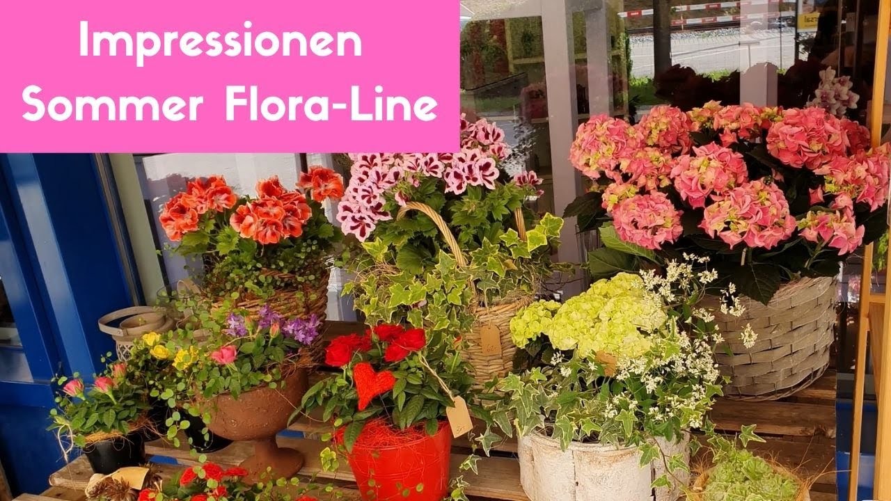 Rundgang Sommer 2020 - Aussenbereich-Sommerfloristik by Blumenmann - Flora-Line, Grosshöchstetten