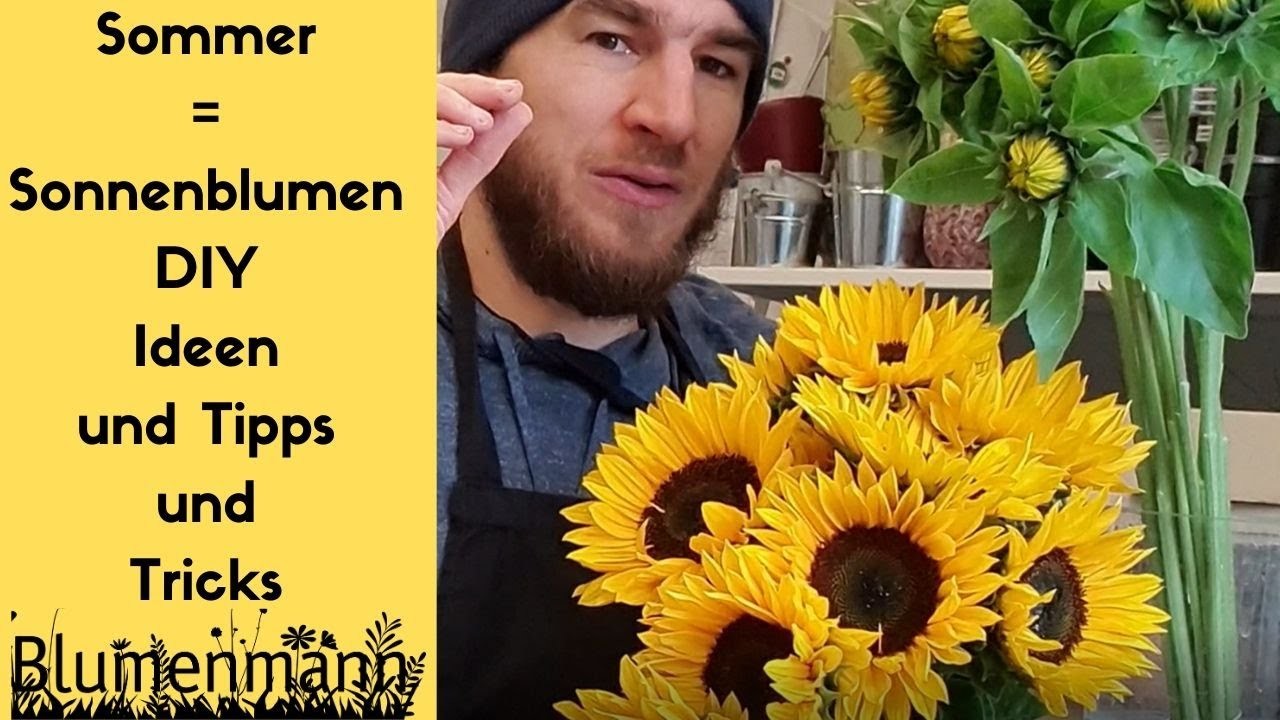 Sonnenblumen Strauss Tipps und Tricks Sonnenblumen Floristik Blumenmann
