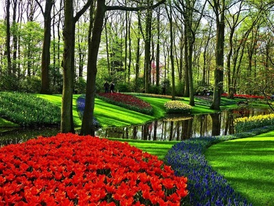 Andacht -  Wie sieht dein Garten aus