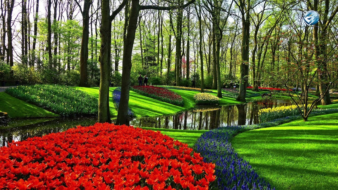 Andacht -  Wie sieht dein Garten aus