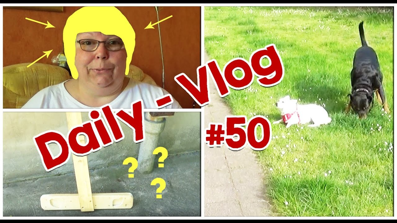 ???? Daily Vlog #50 | Gassirunde | Susi und der Friseur | Uwes Bastelwastel | #kirauwesusi | ????