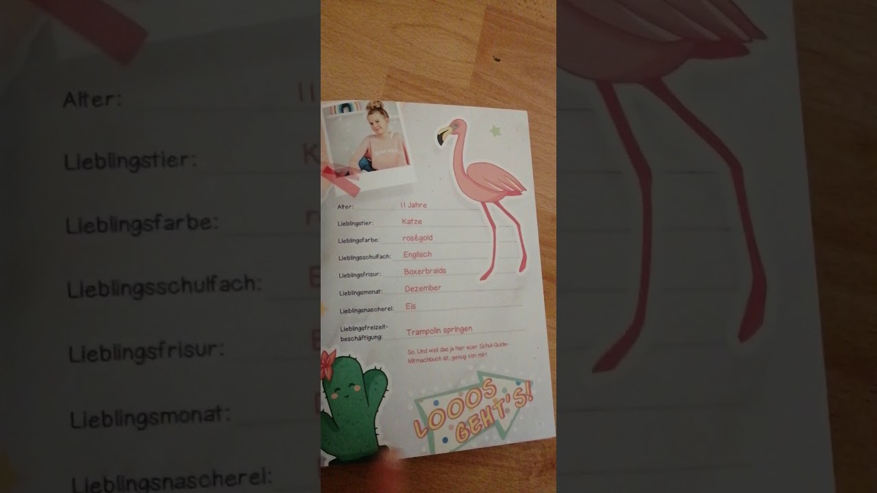 MAVIE NOELLE Buch erklärung❤️????????