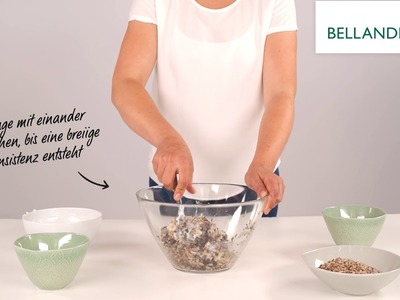 BELLANDRIS DIY - Winterfütterung