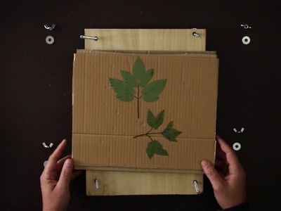 Herbal Hunter – DIY Pflanzenpresse für dein Herbarium