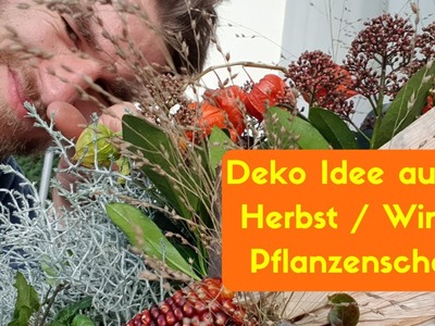 Winter Bepflanzung -  DIY Anleitung für deine aussen Dekoration - Pflege Tipps & Pflanzen Tipps