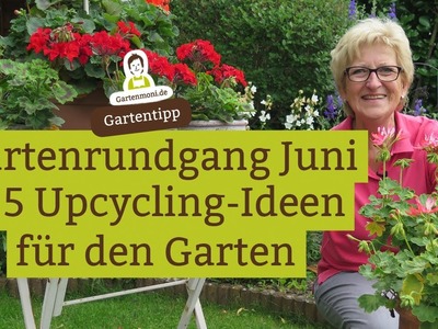 Gartenrundgang & 5 Upcycling Ideen für den Garten, Was blüht und wächst Ende Juni im Garten?