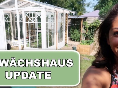 Gewächshaus Update  - Low Carb Milchreis Rezept - Rosislife