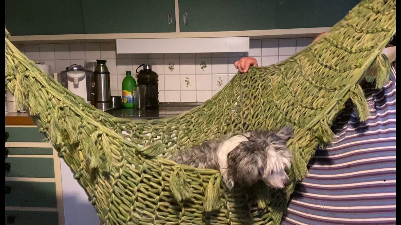 Gewinnspiel Auslosung (siehe Video 56)