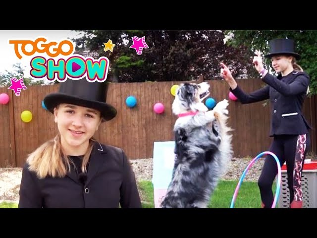 SPIRIT: Wild und Frei – Abenteuer zuhause CHALLENGE | Lia und Alfi | TOGGO Show